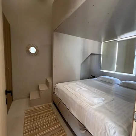 Dottori 코이니라