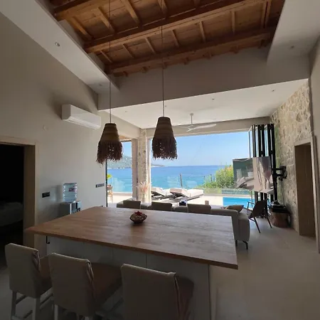 Dottori 코이니라